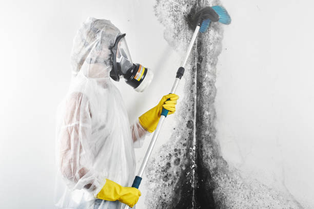 Best Residential Mold Inspection & Testing  in Mccormick, SC