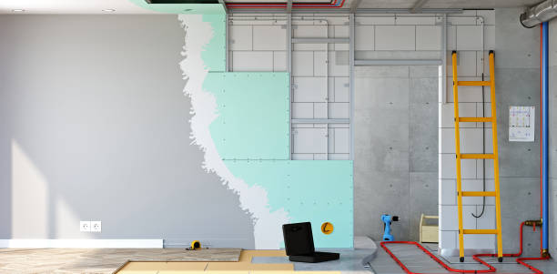 Best Basement Mold Removal  in Mccormick, SC