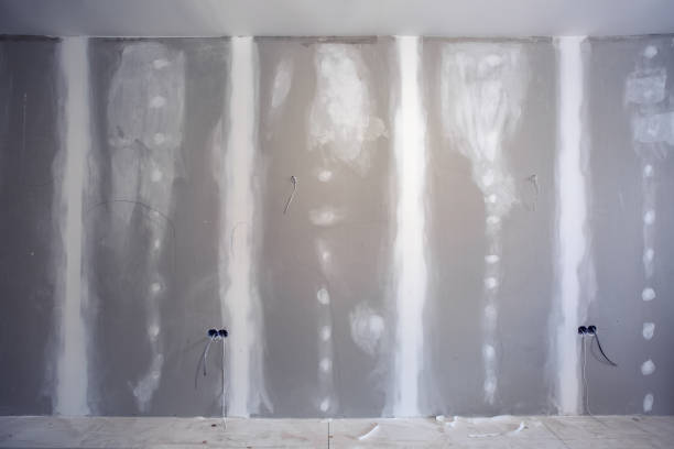 Trusted Mccormick, SC Mold Removal Experts